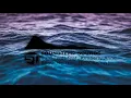 Sam Feldt feat. Kimberly Anne - Show Me Love (EDX Remix)