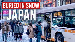 Hokkaido: The Japan Most Tourists Never See
