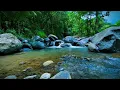 Download Lagu Suara Aliran Gunung Suara Sungai yang Menenangkan untuk Tidur Nyenyak, Menghilangkan Stres, Belajar, dan Meditasi