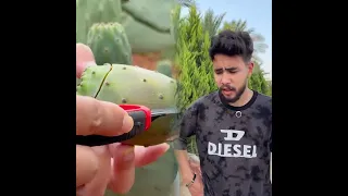 جتلكم بالجزء التاني من فكره    كابتن دولت        مش هحرقهلكم  هسيبكم تتفرجو  ولو عجبكم اعملو دندنها