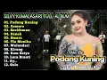 Lagu Podang Kuning - Denok - Ay | Silvy Kumalasari Full Album Terbaru 2026 | Campursari Dangdut Koplo