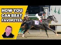 How To FIND BEAT Vulnerable Favorites Horse Racing Betting Tips