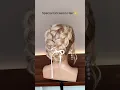 Elegant Braided Updo Special Occasion Hairstyle