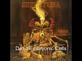 Download Lagu Sepultura - Arise (Full Album)