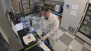 The science behind the pollen count Three steps help determine the number