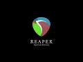 Loop Based Production in REAPER - Part