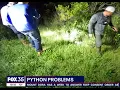 The Python Challenge