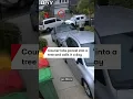 Courier lobs parcel into a tree and calls it a day