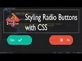 Custom Toggle Button with CSS only bytebite CSS tricks