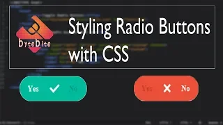 Custom Toggle Button with CSS only bytebite CSS tricks