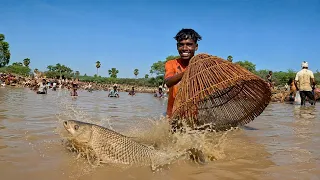 🤿 Underwater Giant Fish Hunt… With My Bare Hands! 🎣😱 |  Venu Adventures Fishing