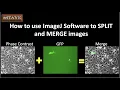 How to use ImageJ Software to SPLIT and MERGE images