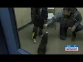 Quincy animal shelter seeing drop in adoptions