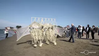 Strandbeests Amazing Kinetic Sand-Scuttling Sculptures