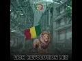 Lion Revolution Mix