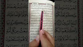 تعليم سورة النحل من 80 إلى 81 