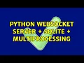 Python WebSocket Server SQLite Multiprocessing 2 Solutions