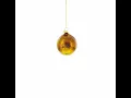 Kiwi Slice Glass Christmas Ornament CC-1370