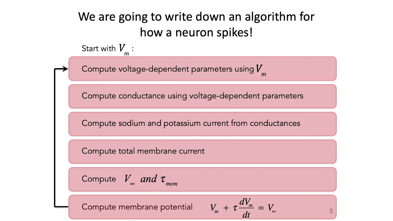 4: Hodgkin-Huxley Model Part 1 - Intro to Neural Computation