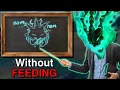 Download Lagu How to Play Thresh Top Without Feeding