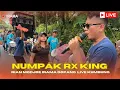 Download Lagu Mantap Suara Merdu Rian Modjoe Bawakan Lagu Nimpak RX King - Irama Dopang Live Terbaru 2025