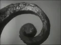 The Moody Blues - Nights In White Satin [Original Footage]  (1967)