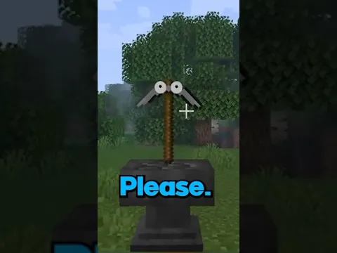 The Visitor and John Pickaxe | Minecraft Meme Movie