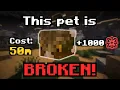 This Pet Is About to BREAK Hypixel Skyblock