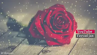 اغاني كردي ور سر تربامن كولا بجينان 