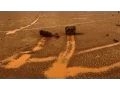 Mystery of Death Valley s Moving Stones Solved