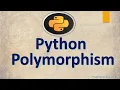 Python Object Oriented Programming Python Polymorphism