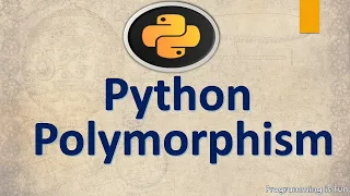 Python Object Oriented Programming Python Polymorphism
