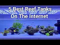 5 Best Reef Tanks On The Internet
