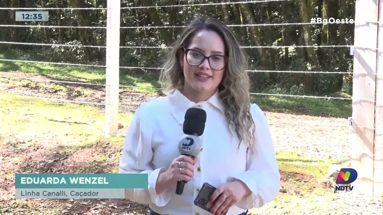 Mulher é encontrada morta em bueiro no interior de Caçador