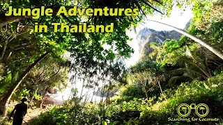 A closer look: Inside the jungle | Thailand 😃 S02E10