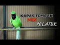 Download Lagu 🔴 HOT || CUCAK IJO JAMTROK FULL TEMBAKAN KATEM DAN PELATUK