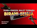 Download Lagu suara panggil walet terbaru