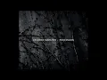 Desiderii Marginis - 2012  - Procession (Dark Ambient | Full Album)
