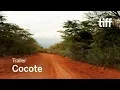 Download Lagu COCOTE Trailer | TIFF 2017