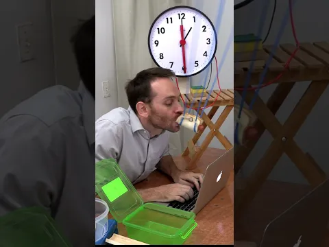 Don’t skip lunch!