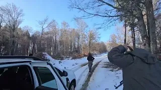 Kire Mihailov objavi video od denesnata akcija vo koja bea fateni drvokradci