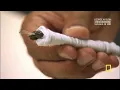 Worlds toughest prisons Overcrowded and Violent Prison Documentary
