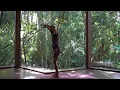 FluidUs Portal to the Monkey Lunge