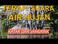Download Lagu SUARA AIR HUJAN, PETIR, KATAK, DAN JANGKRIK PENGANTAR TIDUR