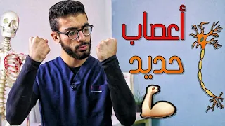 كيف تقوى الاعصاب ؟! - العلاج النهائى لمشاكل التنميل و ضعف الاعصاب