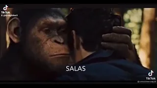 كل سنه وانت طيب يا معلم دندنها