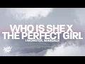 Download Lagu Who Is She x The Perfect Girl (TikTok Remix) I Monster, Mareux (Lyrics) | oh who is she