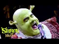 I m a Believer Shrek The Musical