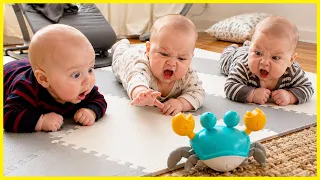SIBLING RIVALRY! 🍼 Epic Battles & Sweet Alliances You Won't Believe
