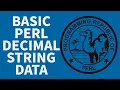 Perl Programming Tutorial - Strings Integer Decimal Handling 2022